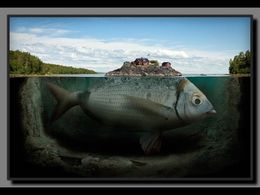 Photos retouchées irréalistes d'Erik Johansson