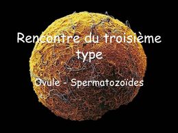 Rencontre du troisième type