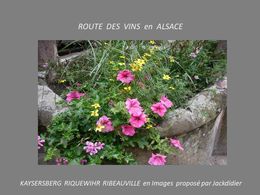 PPS Route des vins en Alsace