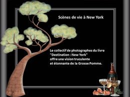 Scènes de vie à New York