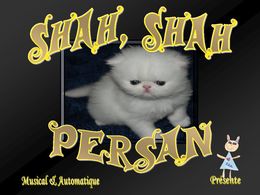 PPS Shah Shah Persan