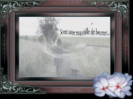 Sous une mantille de brume