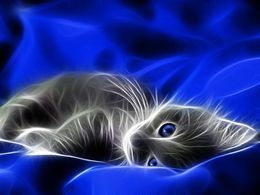 Symphonie de couleurs 4