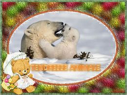 Diaporama Tendresse animale
