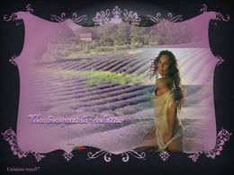 Un bouquet de violettes