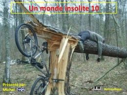 Un monde insolite 10