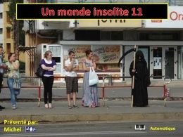 Un monde insolite 11