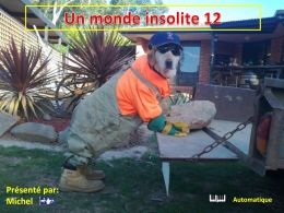 Un monde insolite 12