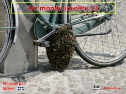 PPS Un monde insolite 13