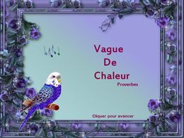 Vague de chaleur