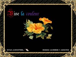 Vive la couleur