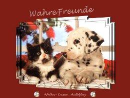 Wahre Freunde
